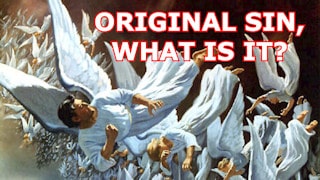 First sin, what is it?